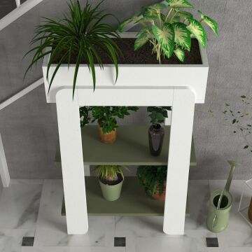 Nola Çiçeklik Beyaz-Sardunya