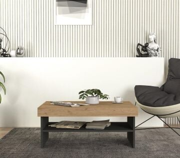 Raun Orta Sehpa Sepet - Antrasit